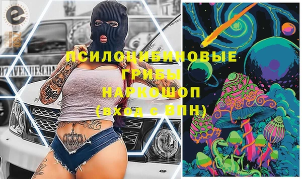 дурь Алексин